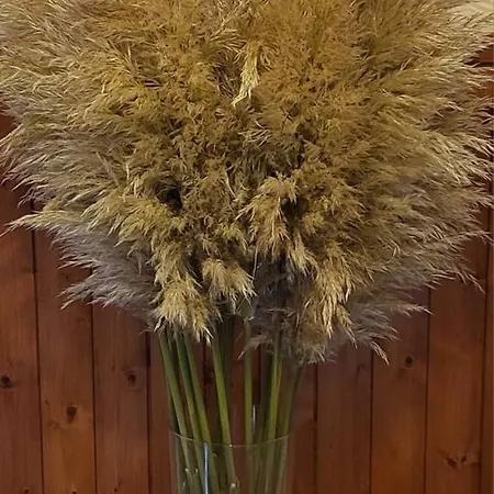 Teeside Port In 米德尔斯伯勒