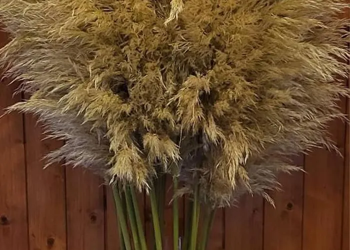 Teeside Port In Middlesbrough